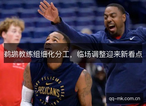 鹈鹕教练组细化分工,临场调整迎来新看点 鹈鹕教练组细化分工,临场调整迎来新看点